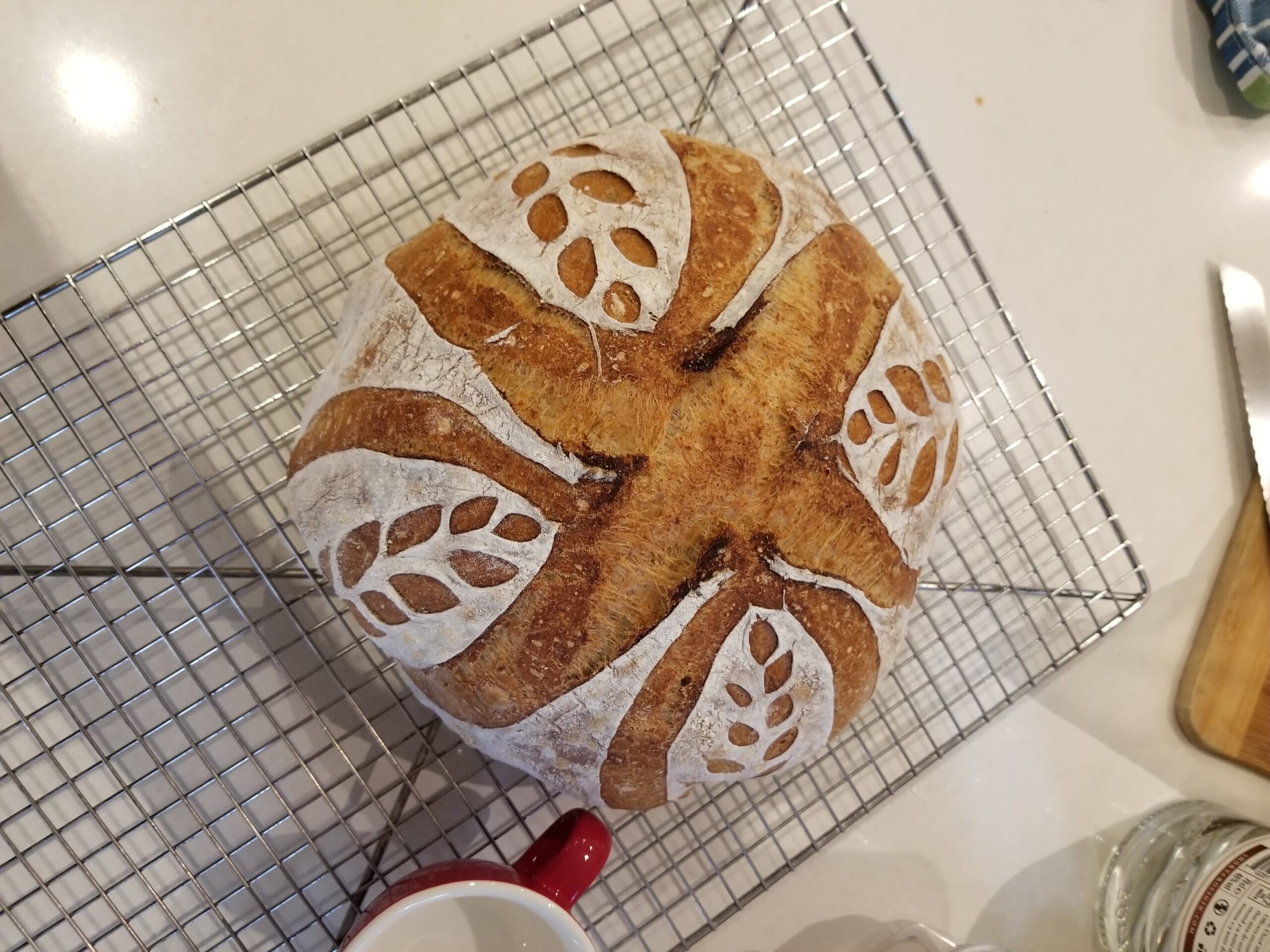 Sourdough Bread Journey Petersen Family